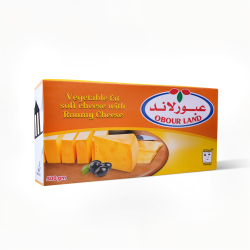 جبنة عبور لاند جبن رومي 500 غ