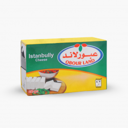 جبنة عبور لاند جبن اسطنبولي 250 غ