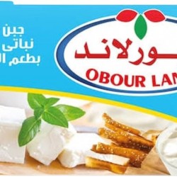 جبنة عبور لاند فلمنك 250 غ 