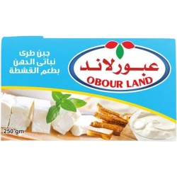 جبنة عبور لاند فلمنك 250 غ 