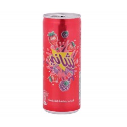 عصير شاني فواكة 250 مل*30