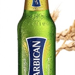 شراب شعير بربيكان سادة *24