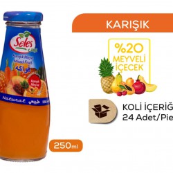 عصير سلس صغير فواكه × 24 