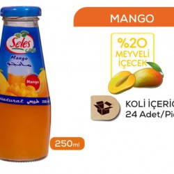 عصير سلس صغير مانغو× 24 